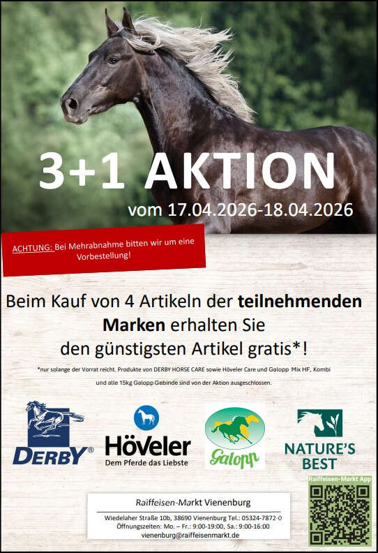 Aktionstag Vienenburg